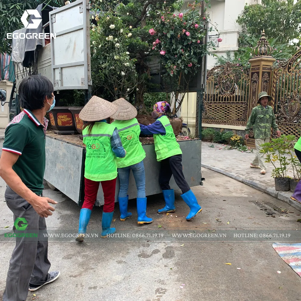 Từ phong cách tới những loại hoa đều dựa trên sở thích, mong muốn và thói quen của chủ nhà.